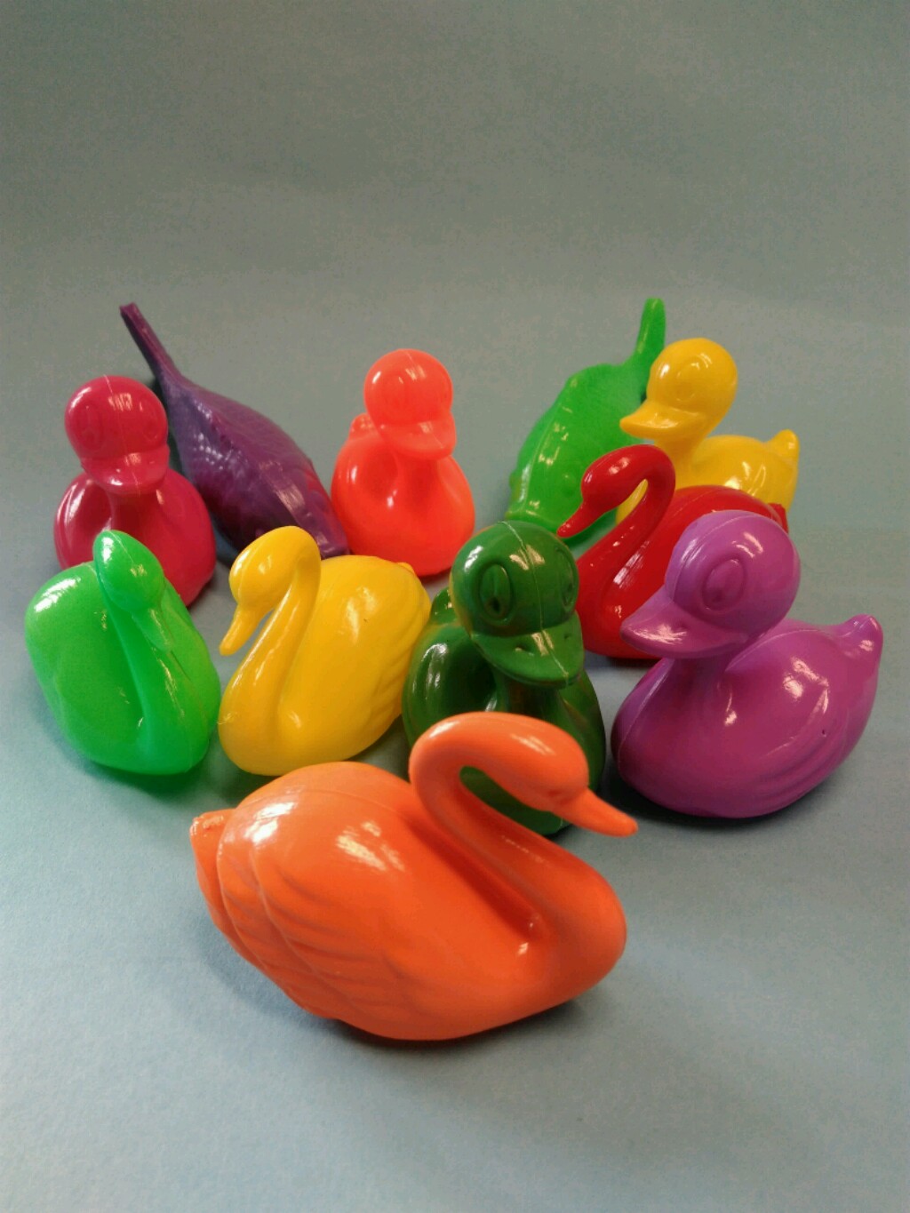 Schwimmtiere NEU