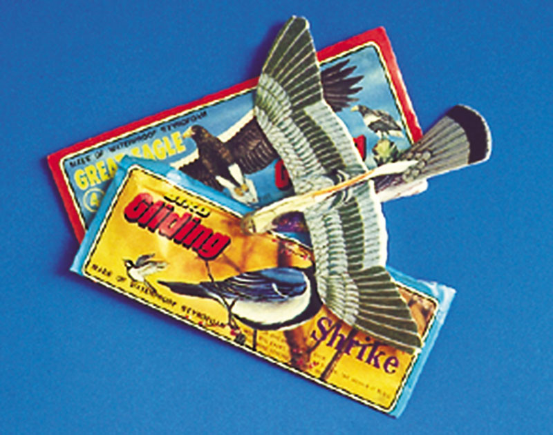 Vogelgleiter Bastelset